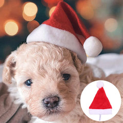 Christmas Pet Santa Hat