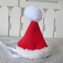 Christmas Santa Costume