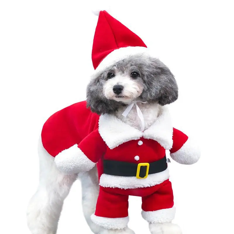 Christmas Santa Costume