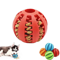 Dog Chew Ball