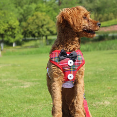 Elegant Christmas Dog Harness