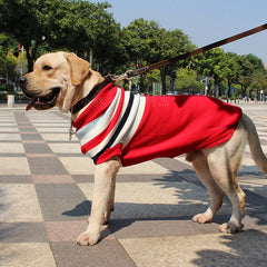 Christmas Dog Sweater