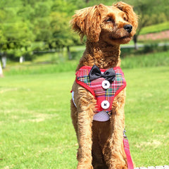 Elegant Christmas Dog Harness