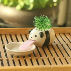 Cute Ceramic Cartoon Succulent Pots