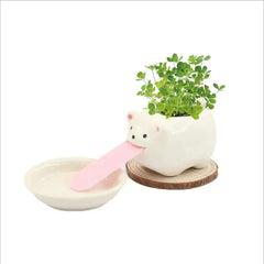 Cute Ceramic Cartoon Succulent Pots