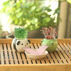 Cute Ceramic Cartoon Succulent Pots