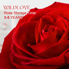 WILDLOVE Preserved Real Rose